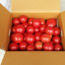 산골백두 이미지