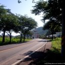 미조공설운동장 이미지