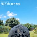 11월19일(일)개운산둘레길 고려대 홍릉수목원 이어걷기/마감 이미지