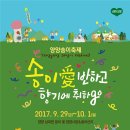 양양송이 - 양양군 남문3길 14 | 양양송이