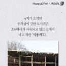 펫베어
