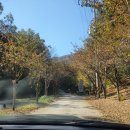 알프스농원 캠핑장 이미지