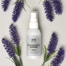 페티앙 애견미용 이미지