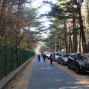 동해시-43 Daum카페