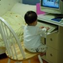 서도랑푸드 | 햄버그랑 닭튀김이랑 밀감 젤리가 있어