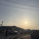 도양읍 비봉로 | 전남 '고흥 유자샌드' 고흥여행선물추천 내돈내산 솔직후기:)