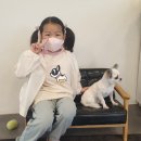 독 블레스 유 이미지