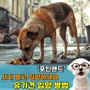 포인핸드 건강검진센터 | 포인핸드 유기견 보호소 새로운 가족을 만나는 방법 사지 말고 입양하세요