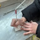 월미도 선착장 | [인천] 인천 데이트로 추천! 영종도 구읍뱃터 선착장 후기!(영종도 ↔ 월미도)