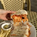 베스트 애견 이미지