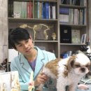 24시 유앤미동물병원 이미지