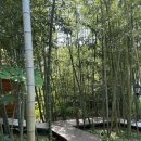 글로리야 | [제주] 제주 조천읍 감성 숙소 글로리야 B동 후기(에어비앤비)