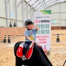 충청B/R어린이집 이미지