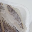 [상계역 횟집] 회포장 맛집 대동원회 후기