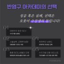 펄미에이트