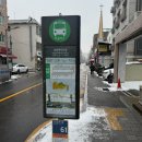 오늘뿐이개 이미지