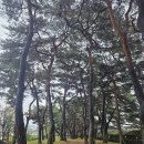 병은선생 고택체험 | "중장년 청춘문화공간:경북 예천" 예천, 송림 고택, 금당실이 전하는 말