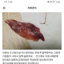 오늘 방어회먹다가 기생충나와서 리뷰남겼는데 이미지