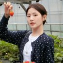 스타일봄