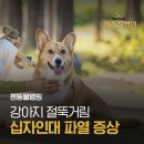 젠동물병원