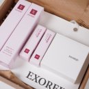 나의 피부 톤과 화장법 | 톤업선크림 파데프리 무기자차 엑소리쥬, 화장 안 해도 피부 예쁜 비결 찾았어요!