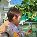 찬이농장 이미지