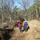 한아름 사슴 농장 이미지