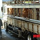 공감축산공판장