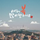 시원행정사사무소 이미지
