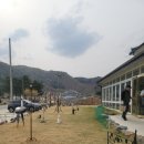 홍천 프랑스빵집 밀블레 베이커리 홍천비발디파크 봄봄주간 벚꽃 길다녀왔어요