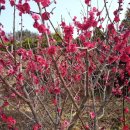 진틀주차장 이미지