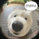 한아름케이크 | 7월 일상 한아름 가져왔슨