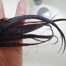 손상모 단백질 트리트먼트 추천! ROTICA 로티카 블랙 원킬 LPP 실크 트리트먼트 리뷰