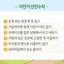 나리 유치원 이미지