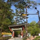 용문산 은행나무길(물소리길 6코스) | [양평 용문산 등산후기] 가섭봉~장군봉 종주 코스 (7시간 30분.. 욕문산 확인)