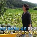 산양카센타 이미지