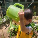 고촌어린이집 이미지