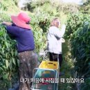 정이농장 이미지