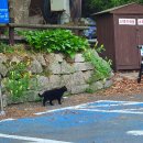 산성등산로1 | 북한산성코스로 올라 백운대코스로 하산 / 등산 초보의 북한산 후기