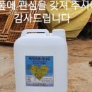 미네팜 이미지