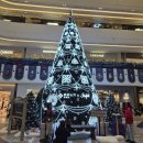 넘버25영등포점(영등포테마) | 스타필드 수원에서 영등포까지 / 별마당도서관 수원 / 런던베이글 / 영등포스퀘어 / THE PLACE (더...