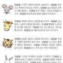 신단수디자인 이미지