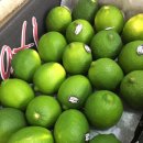 (주)테라팜 이미지