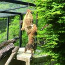 작은동물원수족관 이미지