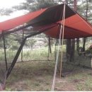 소나무쉼터 민박 이미지