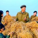 화정농장1 이미지