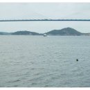 힐링애견샵 이미지