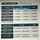 동해 아이와 무릉별유천지 라벤더축제 주차 코스추천 시멘트아이스크림 후기