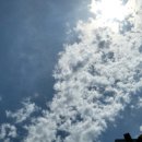 대월놀이공원 이미지