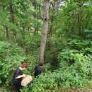 잉꼬농원 | September Weekly #2 어휘력, 강원도 여행(발왕산, 양양, 허브나라농원), 약물